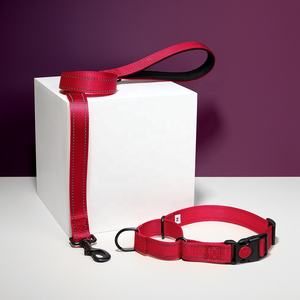 Collares de entrenamiento para perros de nailon resistente de Color sólido, collares de martingala reflectantes seguros para perros - Product Image 5