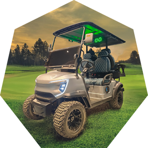 Chariot de golf électrique de qualité haute performance 4 sièges 4000W - Product Image 6