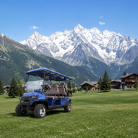 Ce chariot de golf électrique multifonctionnel 6 places est équipé d'un système audio et convient aux zones panoramiques de la plage