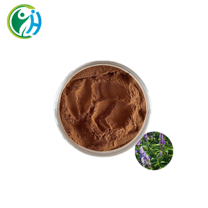 100% 天然セージハーブエキス粉末500g 10:1比率サルビアOfficinalis植物真空パックドラム缶包装 - Product Image 1