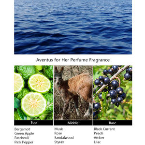 Avenus-huile de parfum UNIQUE, 20 ml, vente en gros, détachées de styliste, haute concentration - Product Image 2