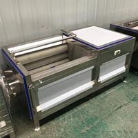 Anxu Commerciële Kurkuma Gember Cassave Aardappel Fruit Schillen Wasmachine Plc Pomp Motor Motor Hoge Efficiëntie