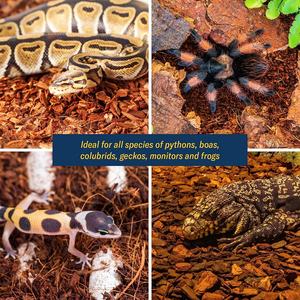 Cobertura de Fibra de Coco, Sustrato de Virutas de Coco para Reptiles - Product Image 5