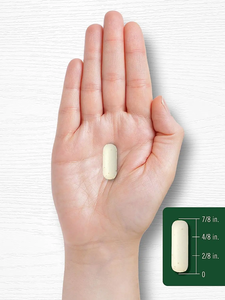 Vitamina C de Alta Potencia 1000mg con Rosa Mosqueta Silvestre - Suplemento de Apoyo Inmunológico con Ácido Ascórbico Sin OMG, 500 Cápsulas Vegetarianas - Product Image 6