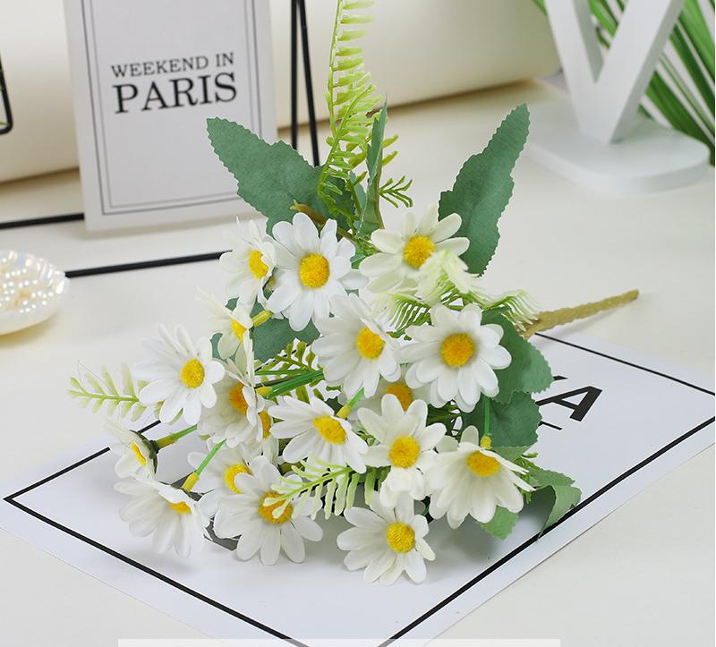 Single dream chrysanthemum white
