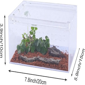 Cao trong suốt nhỏ bò sát môi trường sống Acrylic vật liệu trong suốt Feeder cho Ốc Bọ Cánh Cứng nhện Tắc Kè Hoa Tắc Kè Hoa - Product Image 2