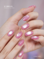 LADAI – Nouveau Kit de 24 Gels UV Multicolores Effet Œil de Chat 2026 – Longue Durée, Tendance, Non Toxique pour Salons de Manucure – Vente en Gros ODM/OEM