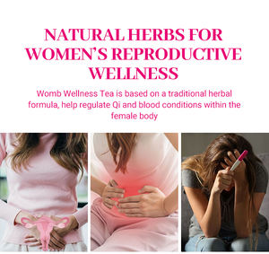 Approche holistique du thé de désintoxication de l'utérus à base de plantes naturelles pour soulager les douleurs menstruelles, nettoyer le bien-être et guérir en sachets de thé de style sachet - Product Image 6