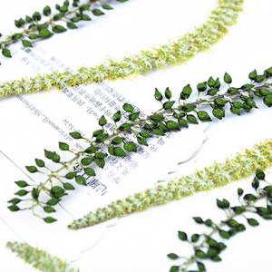 Catillons <span class=keywords><strong>de</strong></span> saule noir et blanc pressés et séchés avec tiges, feuilles <span class=keywords><strong>de</strong></span> saule vertes naturelles pour l'art <span class=keywords><strong>de</strong></span> la résine DIY, l'artisanat et la décoration intérieure - Product Image 3