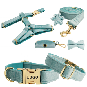 Benutzer definierte Hunde geschirr Leine Set Soft Velvet No Pull Haustier halsband für Walk - Product Image 1