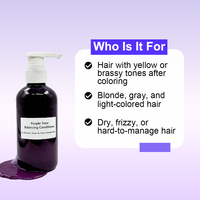Après-shampoing Liquide Hydratant et Lissant Anti-Jaunissement Violet OEM pour Cheveux Blonds, Gris Argenté, Décolorés et Pastel ODM