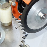 Affûteuse automatique de lames de scie circulaire en carbure TCT Offre Spéciale pour le travail du bois TGS