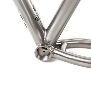 Cadre de vélo de montagne XC tout-terrain léger en alliage de titane de qualité aéronautique <span class=keywords><strong>Werner</strong></span>, finition brillante, 27,5/29 - Product Image 4