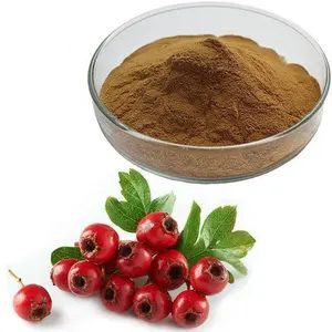 First-class Hawthorn extract 36052-37-6 with good supplier