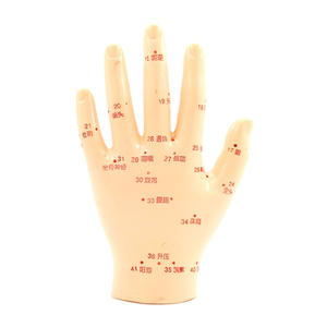 Modelo de mano para acupuntura, 13 cm, puntos de masaje de reflexología, modelo de cuerpo humano reutilizable para terapia antiarreumática - Product Image 2
