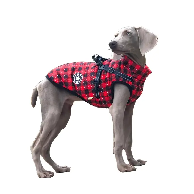 New Autumn and Winter Christmas pet clothing reflective dog cotton coat outdoor big dog jacket pet clothing wholesale