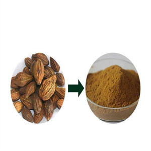 中国産生薬エキス粉末 ターミナルシア・チェブラ パウダー 単一スパイス＆ハーブ-チェブリック・ミロバラン - Product Image 1