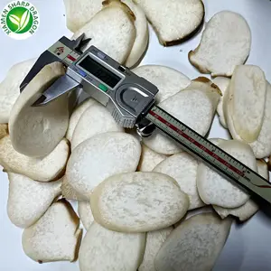 Frozen IQF King Oyster White Mushroom Pleurotus Eryngii Slice Sliced Bulk Organic Freeze Freezing Healthy Natural Wholesale