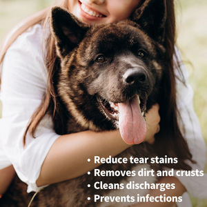 Toallitas húmedas para mascotas a base <span class=keywords><strong>de</strong></span> plantas OEM, 100 Uds., toallitas húmedas suaves para limpiar los ojos <span class=keywords><strong>de</strong></span> los gatos y eliminar las manchas <span class=keywords><strong>de</strong></span> lágrimas, Etiqueta Privada - Product Image 4