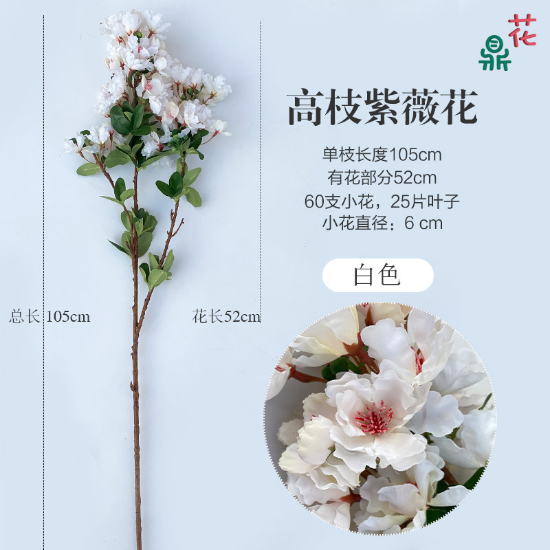 ดอกไม้กระเจี๊ยบขาว JC ที่มีกิ่งก้านสูง