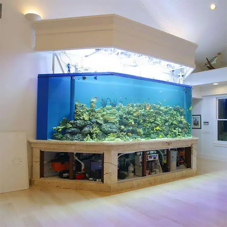 Kích Thước Tùy Chỉnh Rất Lớn 1000 Gallonr Acrylic Fish Tanks Đối Với Khách Sạn, 500 Gallon Fish Tank #