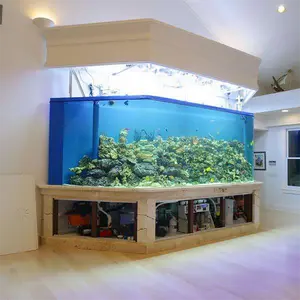 Populaire Ontwerp Gebogen Aquarium Tanks, Plexi Glas Home Decoratieve Cilinder Aquaria @