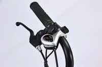 Vélo de montagne à pneus larges de 20 pouces, batterie au lithium 48V 500W 750W, acier central, étanche, pour adultes, fabrication de haute qualité