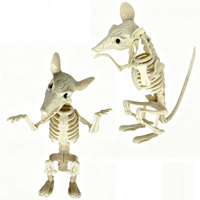 Squelette de Rat Articulé en Plastique – Ornement Effrayant en Forme d'Os de Rongeur pour Décoration d'Halloween, de Jardin, de Cimetière ou de Patio