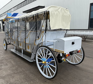 Carruaje de caballos de estilo real más vendido Carruaje de turismo eléctrico elegante para bodas - Product Image 5