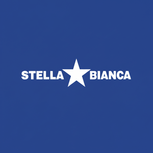 Set di 5 punte diamantate multiuso per gres porcellanato 067 cs5 stella bianca - Product Image 1