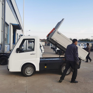 Vehículos de Nueva Energía con Certificación EEC <span class=keywords><strong>COC</strong></span> DOT, Auto Eléctrico de <span class=keywords><strong>2</strong></span> Plazas para Adultos, Camioneta con Volante a la Derecha/Izquierda y Volquete en Venta - Product Image 4