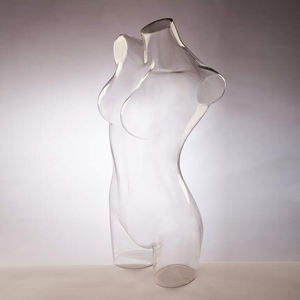 Maniquí Femenino de Medio Cuerpo, Cintura Recta, Torso Transparente <span class=keywords><strong>para</strong></span> <span class=keywords><strong>Ropa</strong></span> <span class=keywords><strong>Interior</strong></span> - Product Image 5