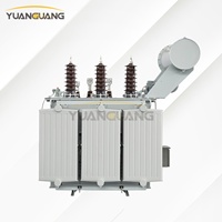 Transformador de Distribución de 10kV 50kVA 100kVA 160kVA IEC con Bobinado de Cobre y Conservador para Redes Eléctricas