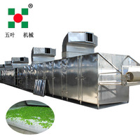 China Leverancier Multi-Layer Riem Droger Hete Lucht Drogen Gedehydrateerde Fruit En Groente Riem Drogers Gember Droogmachine