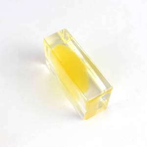 Especímenes incrustados de esponja de Biología Marina educativa - Product Image 4