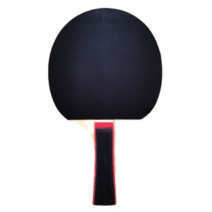 Meilleur prix raquette <span class=keywords><strong>de</strong></span> tennis <span class=keywords><strong>de</strong></span> table personnalisée 2 Pack 3 étoiles <span class=keywords><strong>raquettes</strong></span> <span class=keywords><strong>de</strong></span> tennis <span class=keywords><strong>de</strong></span> table formation raquette <span class=keywords><strong>de</strong></span> <span class=keywords><strong>ping</strong></span>-<span class=keywords><strong>pong</strong></span> - Product Image 3