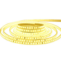 Bande lumineuse LED flexible 1m 2m 5m 10m Longueur personnalisée 16W Blanc chaud Blanc positif Blanc froid Lumière rouge Lumière bleue Lumière verte