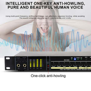 OEM-procesador de efectos de Audio Digital REV3900, dispositivo profesional con 2 micrófonos de mano UHF, PARA <span class=keywords><strong>Karaoke</strong></span> y conciertos - Product Image 2