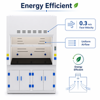 Hotte de laboratoire à conduit en PP avec plan de travail en résine phénolique, 1200 mm, pour laboratoire résistant aux produits chimiques, personnalisable ODM