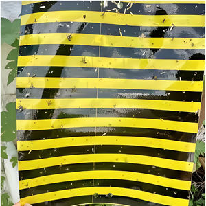 Pièges collants bioniques en gros pour <span class=keywords><strong>insectes</strong></span> avec technologie d'effet de bord amélioré pour grandes surfaces et serres commerciales - Product Image 5