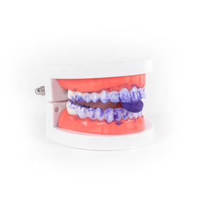 Comprimés de <span class=keywords><strong>dentifrice</strong></span> blanchissant à la menthe avec logo privé, 30 pièces, <span class=keywords><strong>dentifrice</strong></span> à mâcher pour adultes - Product Image 6