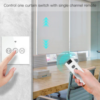 Télécommande RF433 9 canaux pour interrupteur de rideau WiFi, module de stores enrouleurs, accessoires de rideaux alimentés par batterie, émetteur