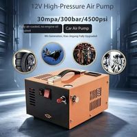 Pompa Kompresor Udara Pcp 12V / 110V / 220V Pompa Mobil Senapan Angin Pcp Kompresor Pcp 12 V Pompa Submersible Pcp 300bar