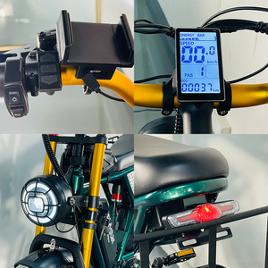 Ridstar Q20 48V 20Ah Bicicleta Eléctrica de Cross con <span class=keywords><strong>Sidecar</strong></span>, Neumático Gordo, Híbrida de Carga para Adultos y Entrega de Alimentos - Product Image 5