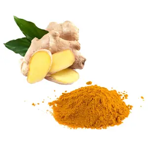 Curcumine de qualité alimentaire Offre Spéciale 95% forme de poudre d'extrait de curcuma naturel bouteille/tambour/récipient en plastique pour suppléments à base de plantes - Product Image 1