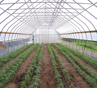 Serre agricole commerciale compacte en PE avec film PE 120 microns, système hydroponique, profilés Poly Lock, structure stable et facile à assembler