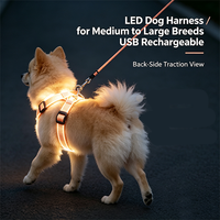 Harness Anjing Solid Bercahaya untuk Keamanan Berjalan di Malam Hari, Menyala dalam Gelap, Bahan Mesh Lembut, Dapat Diisi Ulang via USB