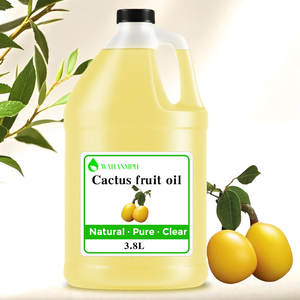 Preço de Atacado do Óleo de Semente de Framboesa 100% Puro, Natural e Orgânico, Extrato Vegetal Prensado a Frio, Sementes a Granel Direto da Fábrica - Product Image 4