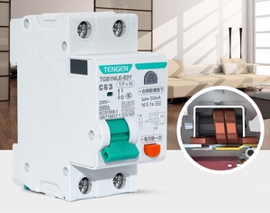 Tgb1nle 1P + N 2P 3P 3P + N 4P 30mA 50mA 100mA 300mA RCCB AC Loại chuyển đổi không khí với rò rỉ bảo vệ cho nhà sử dụng duy nhất/ba pha - Product Image 3