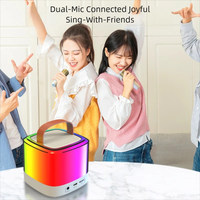 En gros, Mini enceinte karaoké BT 5.1 portable avec poignée, 2 micros, éclairage RGB coloré, compatible Android, son haute fidélité, USB/SD